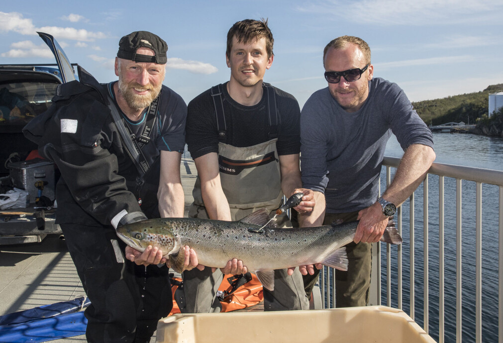 Over en periode på 14 år merket forskerne hundrevis av laks med satelittsendere. Her er Audun Rikardsen (t.v.) og kollegene John Fredrik Strøm (tidligere ph.d.-student UiT) og Egil Liberg (Lakselv grunneierforening) i felten for å merke laks. Over en periode på 14 år merket forskerne hundrevis av laks med satelittsendere. Her er Audun Rikardsen (t.v.) og kollegene John Fredrik Strøm (tidligere ph.d.-student UiT) og Egil Liberg (Lakselv grunneierforening) i felten for å merke laks.