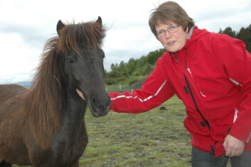 Forsker Astrid Johansen fra Bioforsk Midt-Norge er prosjektleder for et av prosjektene om grovfôr til hest. (Foto: Jon Schärer) Forsker Astrid Johansen fra Bioforsk Midt-Norge er prosjektleder for et av prosjektene om grovfôr til hest. (Foto: Jon Schärer)