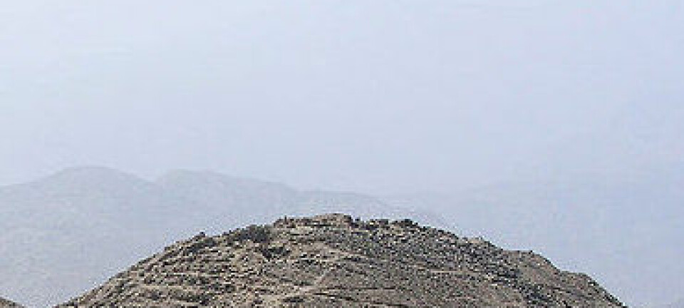 Caral-pyramidene i Supe-dalen i Peru. (Foto: Wikimedia Commons, lisens her.)