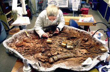 Det ligner nesten litt på en rekvisitt fra en dinosaursfilm. Teknisk konservator Hanne Holmemo får et stadig klarere bilde av den 150 millioner gamle svaneøglegraven. (Foto: Andreas R. Graven) Det ligner nesten litt på en rekvisitt fra en dinosaursfilm. Teknisk konservator Hanne Holmemo får et stadig klarere bilde av den 150 millioner gamle svaneøglegraven. (Foto: Andreas R. Graven)