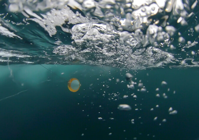 An underwater view of a phytoplankton net doing its job. An underwater view of a phytoplankton net doing its job.