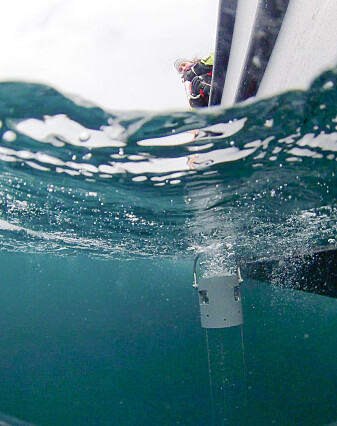 Maren Thu, from the Trondheim Biological Station, uses a Plexiglas water sampler, designed by NTNU researchers and built at the university. The design allows researchers to take fast, efficient water samples in rough seas. Maren Thu, from the Trondheim Biological Station, uses a Plexiglas water sampler, designed by NTNU researchers and built at the university. The design allows researchers to take fast, efficient water samples in rough seas.