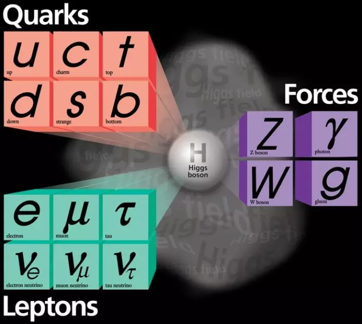 "Illustrasjonen viser hvordan Higgs, hvis den finnes, forholder seg til kvarkene, leptonene og bosonene i standardmodellen. (Kilde: Fermilab)"