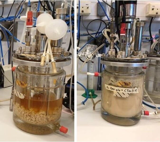 Scale-up of fungal fermentation. Bioreactors containing pulp and pulp-enzyme mixture. Scale-up of fungal fermentation. Bioreactors containing pulp and pulp-enzyme mixture.