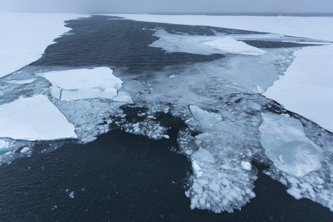 In a recent study, researchers from UiT in collaboration with the NASA Jet Propulsion Laboratory examined a new method to discriminate oil slicks and newly formed sea ice using synthetic aperture radar (SAR) imagery.