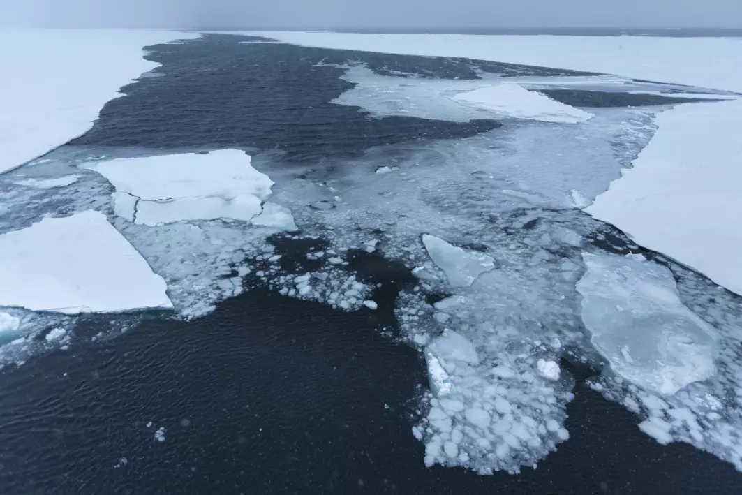 In a recent study, researchers from UiT in collaboration with the NASA Jet Propulsion Laboratory examined a new method to discriminate oil slicks and newly formed sea ice using synthetic aperture radar (SAR) imagery.