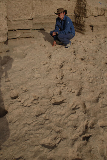 Professor Matthew Bennett ved Bournemouth University foran et av de fossile fotsporene ved Iluret i det nordlige Kenya.(Foto: Professor Matthew Bennett, Bournemouth University) Professor Matthew Bennett ved Bournemouth University foran et av de fossile fotsporene ved Iluret i det nordlige Kenya.(Foto: Professor Matthew Bennett, Bournemouth University)