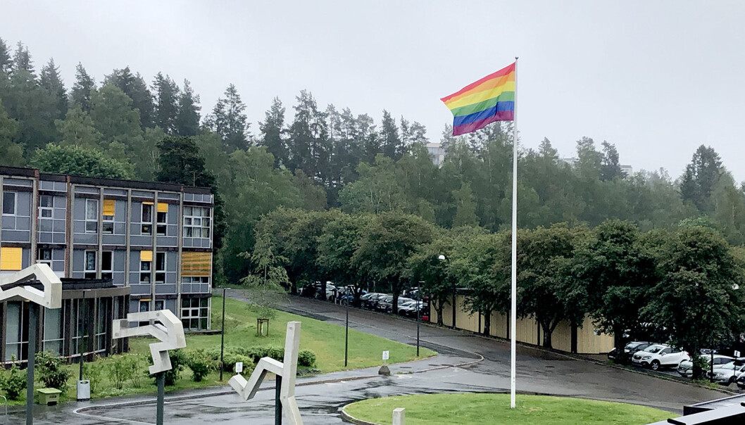 I dag starter Oslo Pride-festival og NIH heiser stolt flagget for å støtte markeringen av skeiv kjærlighet og mangfold. I dag starter Oslo Pride-festival og NIH heiser stolt flagget for å støtte markeringen av skeiv kjærlighet og mangfold.