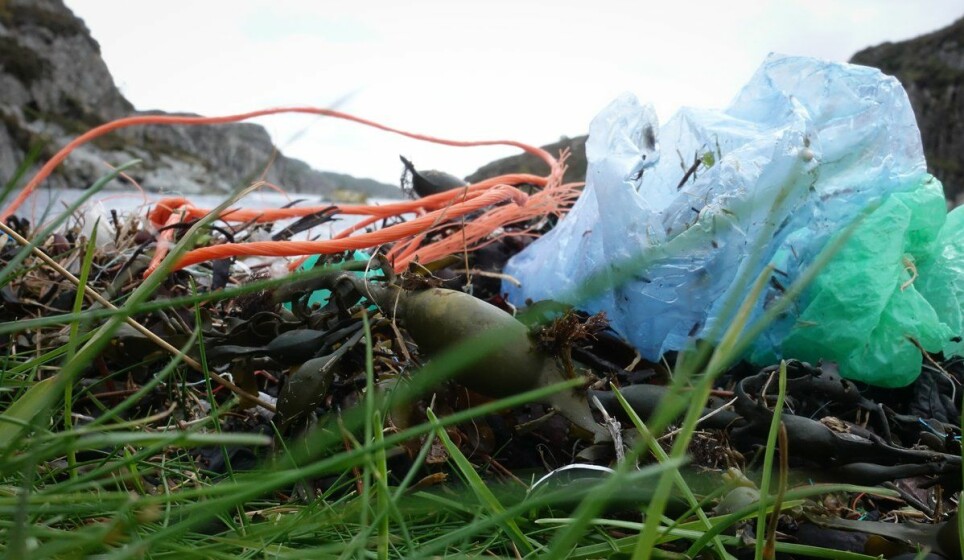 Her har taubiter og plastposer funnet veien til fjæresteiner på Sotra utenfor Bergen.