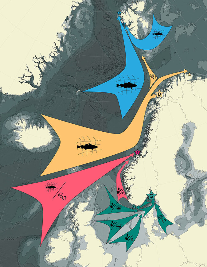 Figuren viser hvor det meste av plasten kommer fra og hvilken type det kommer mest av på de ulike strendene. I nord er det mest plast fra fiskeriene, mens i sør er det er mer av vanlige forbruksartikler. Figuren viser hvor det meste av plasten kommer fra og hvilken type det kommer mest av på de ulike strendene. I nord er det mest plast fra fiskeriene, mens i sør er det er mer av vanlige forbruksartikler.