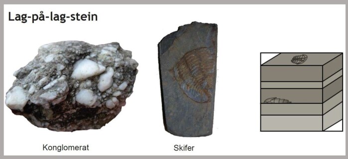 Lag-på-lag-stein er de <span class=" italic" data-lab-italic_desktop="italic">sedimentære bergartene</span>. De var opprinnelig partikler, sand, grus eller leire som har lagt seg lagvis på bunnen av et hav eller en innsjø før de har blitt presset og limt sammen. Lag-på-lag-stein er de <span class=" italic" data-lab-italic_desktop="italic">sedimentære bergartene</span>. De var opprinnelig partikler, sand, grus eller leire som har lagt seg lagvis på bunnen av et hav eller en innsjø før de har blitt presset og limt sammen.