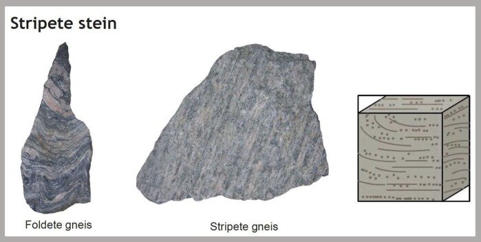 Stripete stein<span class=" font-weight-bold" data-lab-font_weight_desktop="font-weight-bold"> </span>er det samme som <span class=" italic" data-lab-italic_desktop="italic">metamorfe bergarter</span>. Det er stein som har blitt forandret på grunn av varme eller trykk. Metamorfose betyr forvandling, derav navnet. Stripete stein<span class=" font-weight-bold" data-lab-font_weight_desktop="font-weight-bold"> </span>er det samme som <span class=" italic" data-lab-italic_desktop="italic">metamorfe bergarter</span>. Det er stein som har blitt forandret på grunn av varme eller trykk. Metamorfose betyr forvandling, derav navnet.
