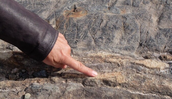 Dette var en lag-på-lag-stein som har blitt stripete på grunn av en prikkete stein. En sedimentær bergart har blitt brent av lava og forvandlet til en metamorf bergart. Dette var en lag-på-lag-stein som har blitt stripete på grunn av en prikkete stein. En sedimentær bergart har blitt brent av lava og forvandlet til en metamorf bergart.