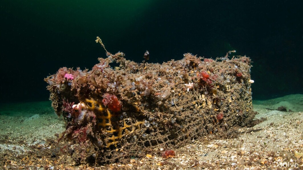 Ghost fishing: In Norway alone, more than 22,000 lost nets have been caught in addition to ropes and other gear from the fisheries, since the the 80s, according to figures from the Directorate of Fisheries. Ghost fishing: In Norway alone, more than 22,000 lost nets have been caught in addition to ropes and other gear from the fisheries, since the the 80s, according to figures from the Directorate of Fisheries.