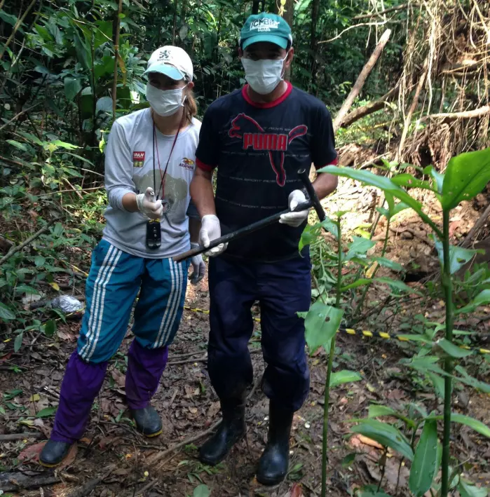 PhD candidate Yennie K. Bredin taking soil samples from the Amazonian forest floor.