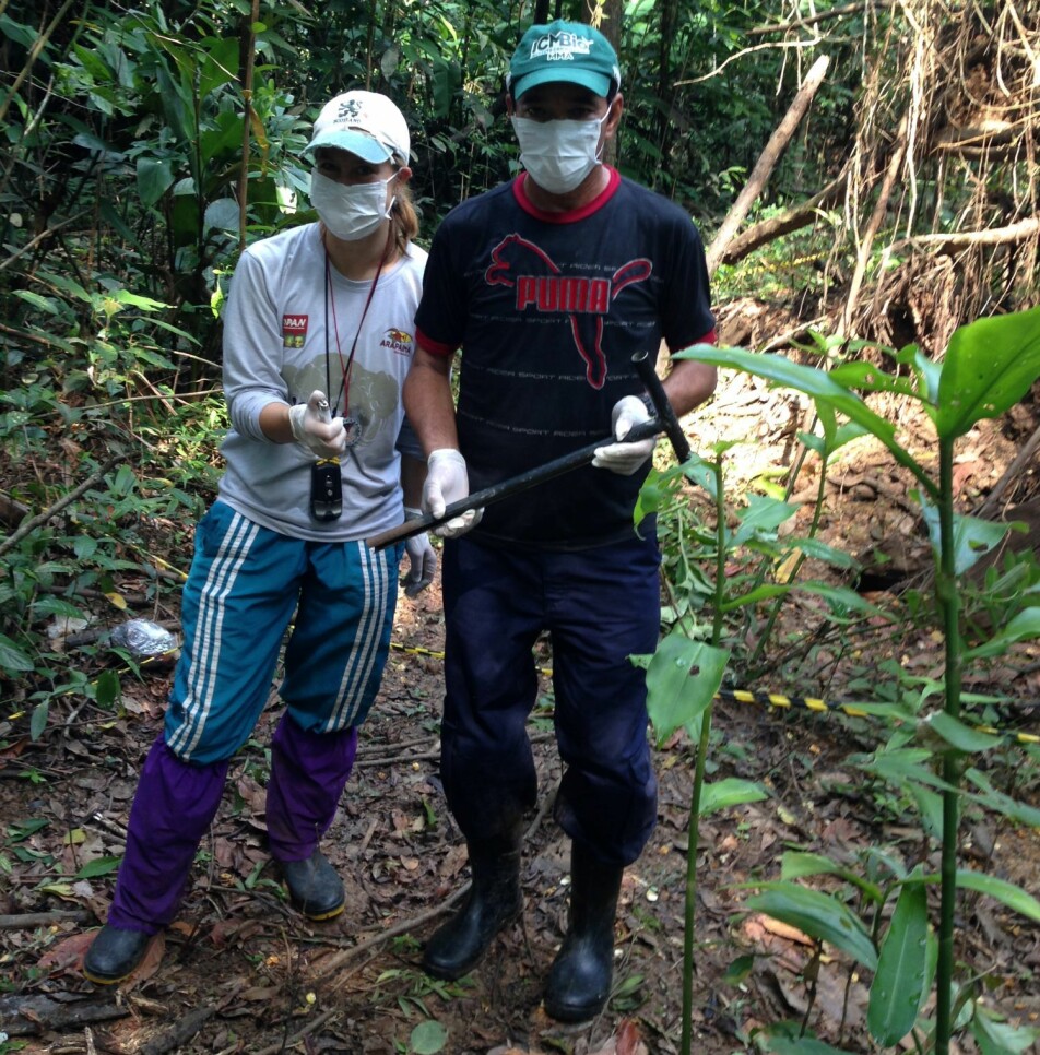 Yennie Bredin har også undersøkt jordprøver av skogbunn i Amazonas.