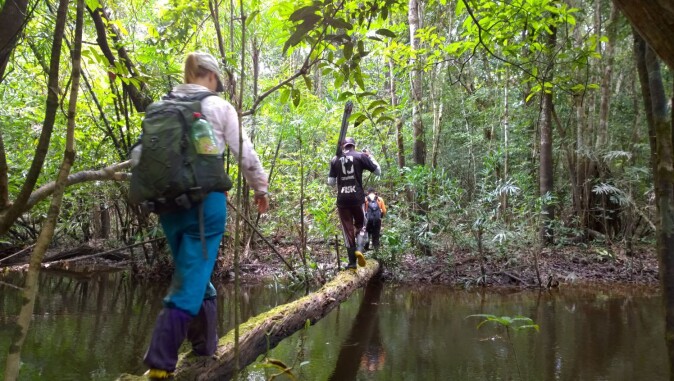 Crossing a stream: Walking in the rainforest. Crossing a stream: Walking in the rainforest.