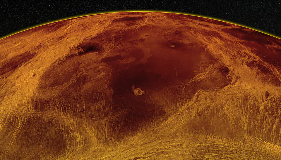 Her er en stor flate på Venus omgitt av ruglete terreng.