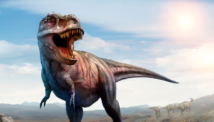 Jammen godt vi ikke møter på Tyrannosaurus rex på tur i skog og mark! Jammen godt vi ikke møter på Tyrannosaurus rex på tur i skog og mark!