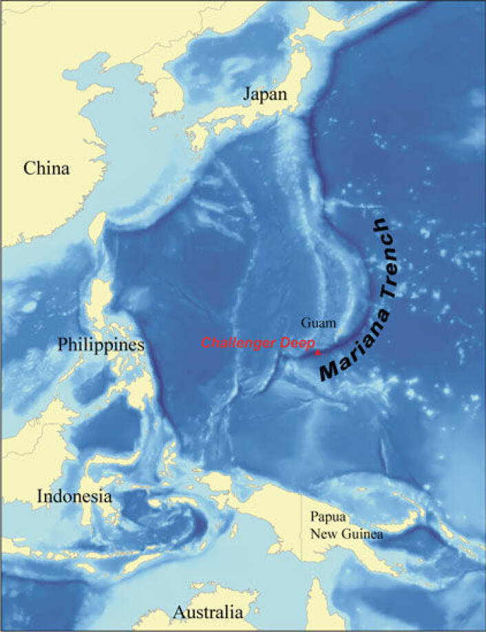 "Challengerdypet er verdens største kjente havdyp på nesten 11 000 meter. Marianergropen ligger rett syd for Guam i Stillehavet. (Illustrasjon: Karl Musser, på bakgrunn av data fraNOAA)" "Challengerdypet er verdens største kjente havdyp på nesten 11 000 meter. Marianergropen ligger rett syd for Guam i Stillehavet. (Illustrasjon: Karl Musser, på bakgrunn av data fraNOAA)"