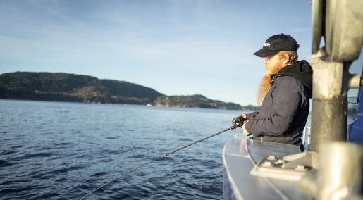 Fiskeekspertens beste fisketips Fiskeekspertens beste fisketips