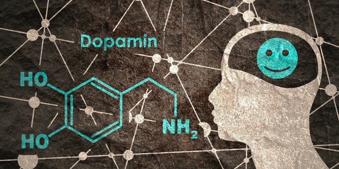 Among other things, dopamine can affect our feeling of happiness.