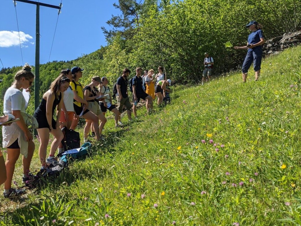 Forbildet for hage-engene er dei tradisjonelle slåttemarkene, som er på retur i dagens landskap. Her i Bargarden naturreservat i Luster har Statens naturoppsyn starta opp att slått, og resultatet let ikkje vente på seg: det summar av liv i den fargerike tørrenga. Det blir sett pris på av Sogndals-studentane som skal lære om artsrik slåttemark. Foto: Inger Auestad. Forbildet for hage-engene er dei tradisjonelle slåttemarkene, som er på retur i dagens landskap. Her i Bargarden naturreservat i Luster har Statens naturoppsyn starta opp att slått, og resultatet let ikkje vente på seg: det summar av liv i den fargerike tørrenga. Det blir sett pris på av Sogndals-studentane som skal lære om artsrik slåttemark. Foto: Inger Auestad.