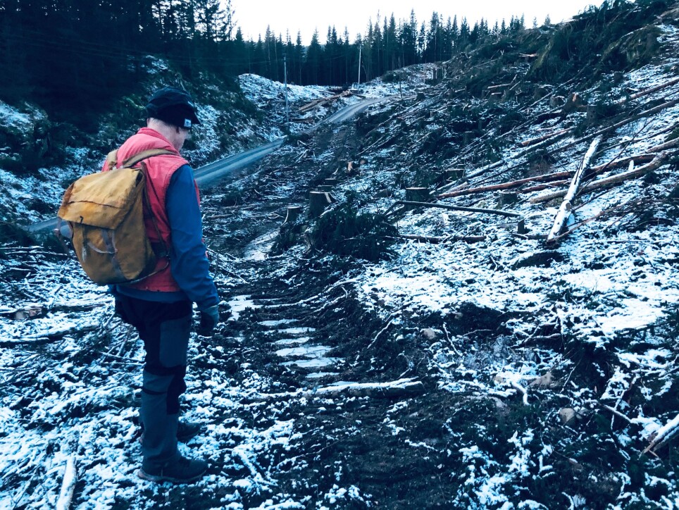 Da det mørkner og vi nærmer oss Movatn stasjon i Nordmarka, går Dragonveien inn i et område der skogsmaskiner helt nylig har gått hardt fram. Kanskje er sporene etter den gamle veien fra mange hundreår tilbake borte for alltid. Her er de pålagt å rydde opp, mener Ståle Pinslie.
