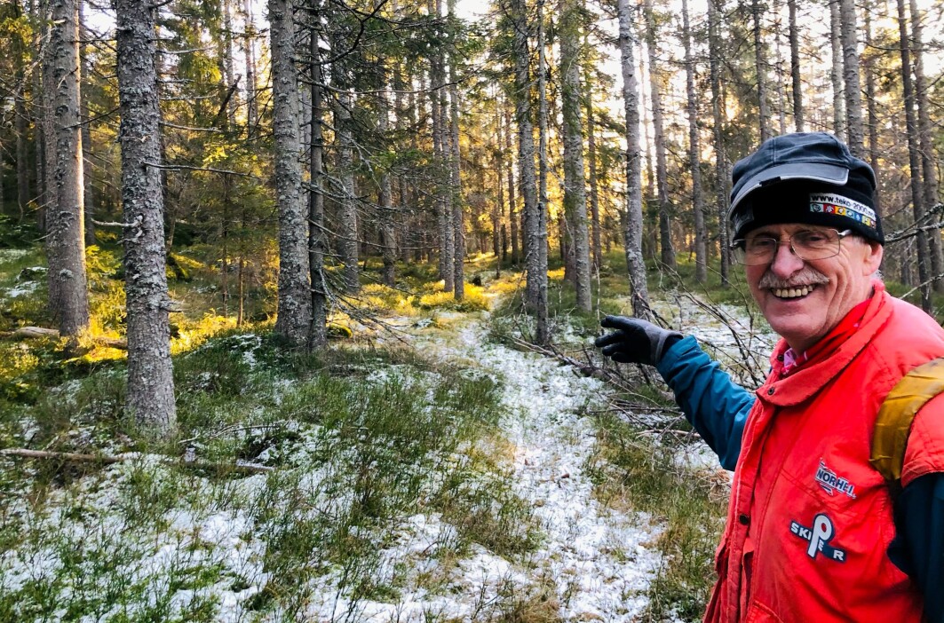 Et tips fra Ståle om du vil lete etter gamle veier: Ved lett snøfall eller snøsmelting, så blir snøen gjerne liggende litt lenger i de gamle søkkene etter hester og mennesker fra hundrevis av år tilbake. Da ser du hvor folk en gang for lenge siden kom ridende og gående. Skogen du ser på dette bildet har fått stå i fred for moderne flathugst. Går du som Ståle en del i skogen, så ser du tydelig forskjellen. Et tips fra Ståle om du vil lete etter gamle veier: Ved lett snøfall eller snøsmelting, så blir snøen gjerne liggende litt lenger i de gamle søkkene etter hester og mennesker fra hundrevis av år tilbake. Da ser du hvor folk en gang for lenge siden kom ridende og gående. Skogen du ser på dette bildet har fått stå i fred for moderne flathugst. Går du som Ståle en del i skogen, så ser du tydelig forskjellen.