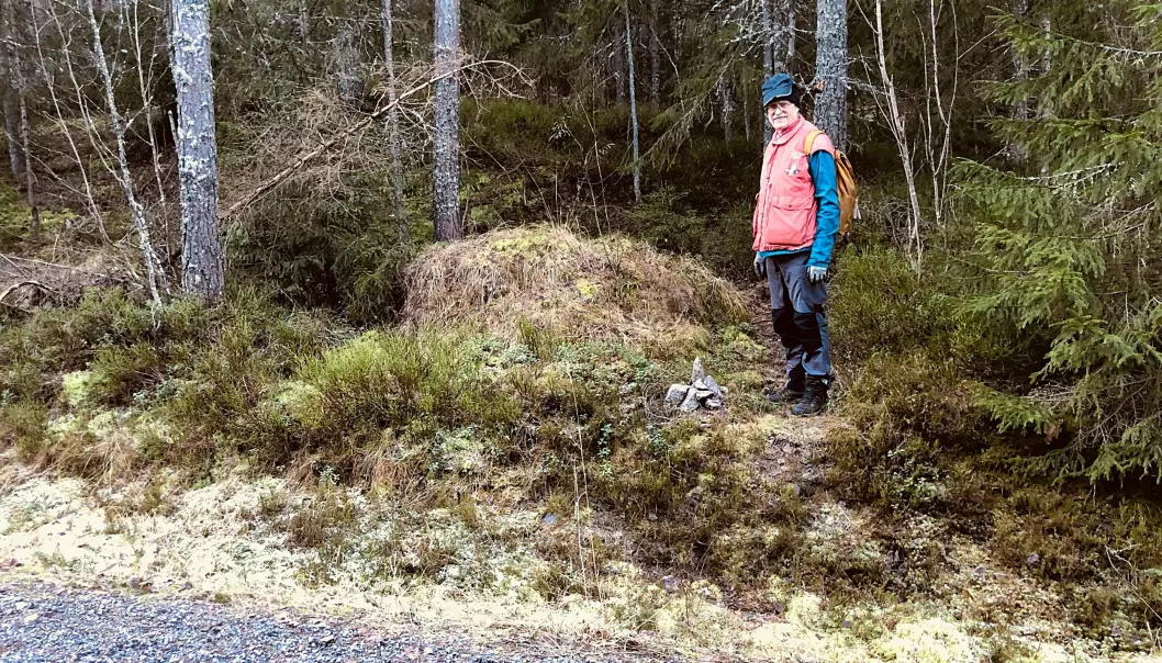 Med små varder som dette gir Ståle og vennene hans deg et hint om hvor stien går inn i skogen.