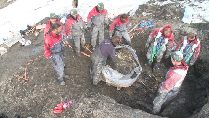 "Jørn Hurum i midten under en tidligere utgraving av en pliosaur på Svalbard. (Foto: Naturhistorisk museum/Universitetet i Oslo)" "Jørn Hurum i midten under en tidligere utgraving av en pliosaur på Svalbard. (Foto: Naturhistorisk museum/Universitetet i Oslo)"