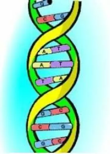 "DNA-oppskrift"