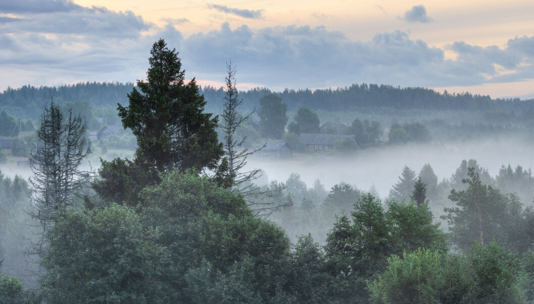 Russlands skoger vokser, ifølge en ny Nature-studie. Det står i kontrast til tallene den russiske staten selv har rapportert. Russlands skoger vokser, ifølge en ny Nature-studie. Det står i kontrast til tallene den russiske staten selv har rapportert.