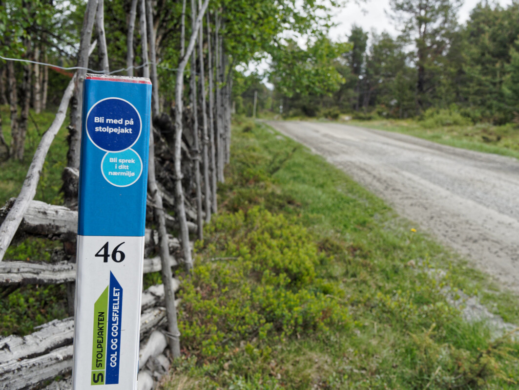 Fra stolpejakt til T-ruter – det siste året har flere «oppdaget» den norske naturen. Noen går etter eget kart, andre koster på seg guide. Fra stolpejakt til T-ruter – det siste året har flere «oppdaget» den norske naturen. Noen går etter eget kart, andre koster på seg guide.