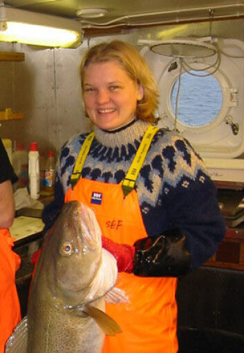 "Marinbiolog Tuula Sarvas ved Norges fiskerihøgskole, Universitetet i Tromsø, har studert genetiske forskjeller mellom kysttorsk og skrei." "Marinbiolog Tuula Sarvas ved Norges fiskerihøgskole, Universitetet i Tromsø, har studert genetiske forskjeller mellom kysttorsk og skrei."