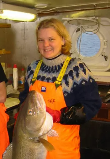 "Marinbiolog Tuula Sarvas ved Norges fiskerihøgskole, Universitetet i Tromsø, har studert genetiske forskjeller mellom kysttorsk og skrei."