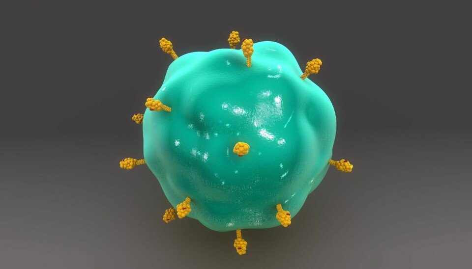 Modell av en antigen-presenterende celle. Cellen har funnet noe fremmed, og stiller ut biter av det fremmede på utsiden. Disse bitene er såkalte antigener. Antigener er rett og slett karakteristiske biter av virus, bakterier eller andre fremmede elementer. De kan også være deler av kroppens egne celler.