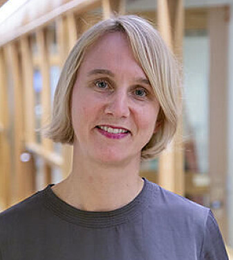 Professor and CAS project leader Cathrine Holst. Professor and CAS project leader Cathrine Holst.