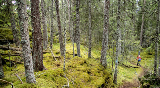 Norge er for dårlig på forbruk, klimagassutslipp og kunnskap om biologisk mangfold, ifølge Regjeringen