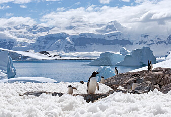 Det ble satt ny varmerekord i Antarktis i fjor