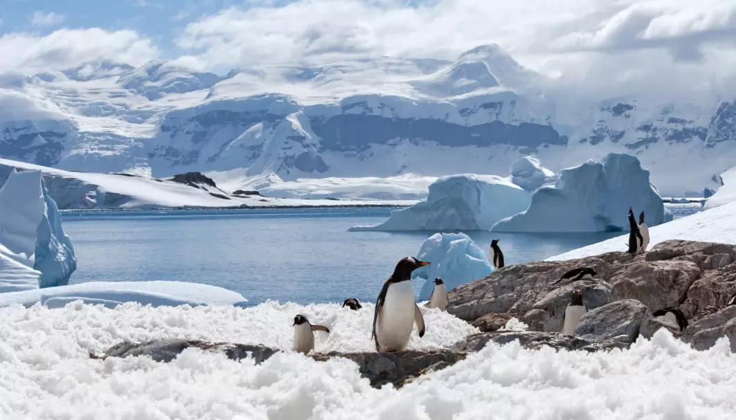 En forskergruppe har vurdert to mulige temperaturrekorder i Antarktis fra 2020.