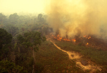 Brann i regnskogen i Amazonas. (Illustrasjonsfoto: iStockphoto) Brann i regnskogen i Amazonas. (Illustrasjonsfoto: iStockphoto)