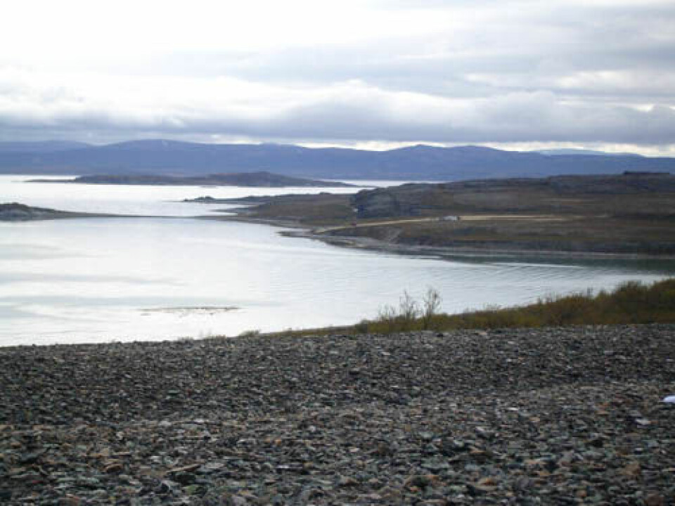 De store fjordsystemene i Finnmark og Troms er et kulturlandskap som har vært i bruk i årtusener. Dette er kjerneområdene for sjøsamisk kultur. Bildet viser Porsangerfjorden sett fra Veines/Riinjárga. (Foto: Camilla Brattland)