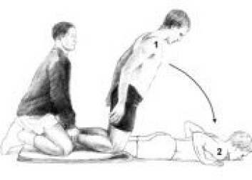 Såkalte Nordic hamstring lowers kan forebygge hamstringskader. Såkalte Nordic hamstring lowers kan forebygge hamstringskader.