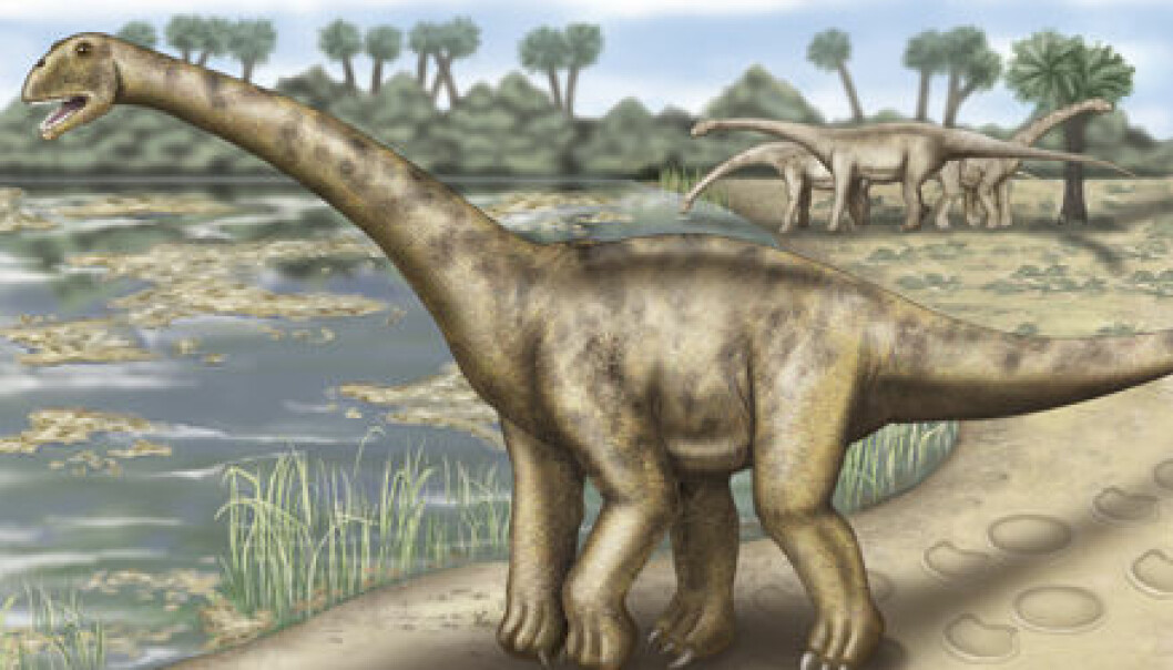 Kjempedinosaur funnet i Spania