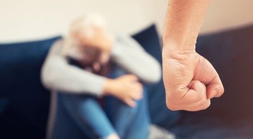 Samiske kvinner mer utsatt for partnervold enn ikke-samiske Samiske kvinner mer utsatt for partnervold enn ikke-samiske