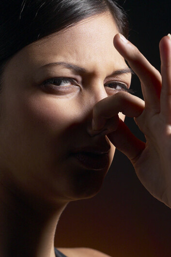 "Menns svette er vanskeligere å skjule, og kvinner oppfatter svettelukt lettere enn menn, i følge forskerne. (Illustrasjonsfoto: www.clipart.com)"