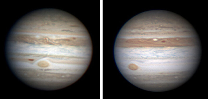 T.v: Slik så Jupiter ut i november ifjor. T.h: 13. mai i år var det mørke sørlige ekvatorialbeltet ved den røde flekket blitt lyst. Astronomene tror det skyldes at stigende skyer av lys, frosset ammoniakk av og til dekker for de mørkere, varmere gassene i beltene. Dette skjer med jevne mellomrom, sist i 1990. Bildene er tatt av den australske amatørastronomen Anthony Wesley. T.v: Slik så Jupiter ut i november ifjor. T.h: 13. mai i år var det mørke sørlige ekvatorialbeltet ved den røde flekket blitt lyst. Astronomene tror det skyldes at stigende skyer av lys, frosset ammoniakk av og til dekker for de mørkere, varmere gassene i beltene. Dette skjer med jevne mellomrom, sist i 1990. Bildene er tatt av den australske amatørastronomen Anthony Wesley.