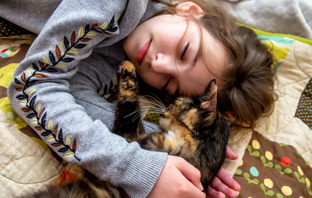 Det er veldig kos å sove sammen med katten. Men det er kanksje ikke så lurt å gjøre det når du er syk.
