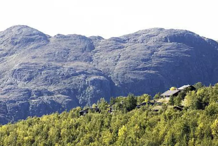 Klimaendringer vil gi ny arter i norske fjell. Sammen med redusert beiting bidrar et varmere klima til at mange arter flytter i høyden. (Foto: Colurobox.no)